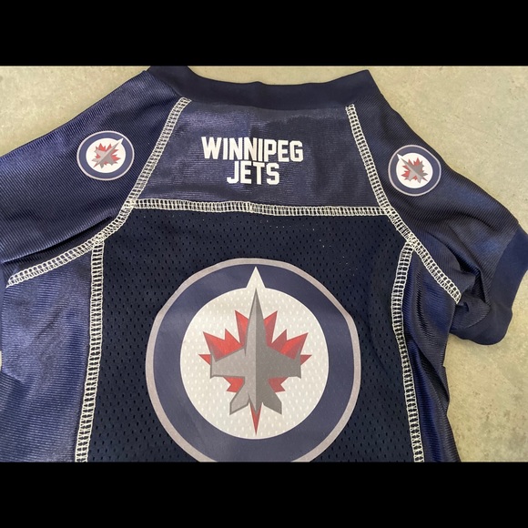 Winnipeg Jets dog jersey and leash - Picture 2 of 7